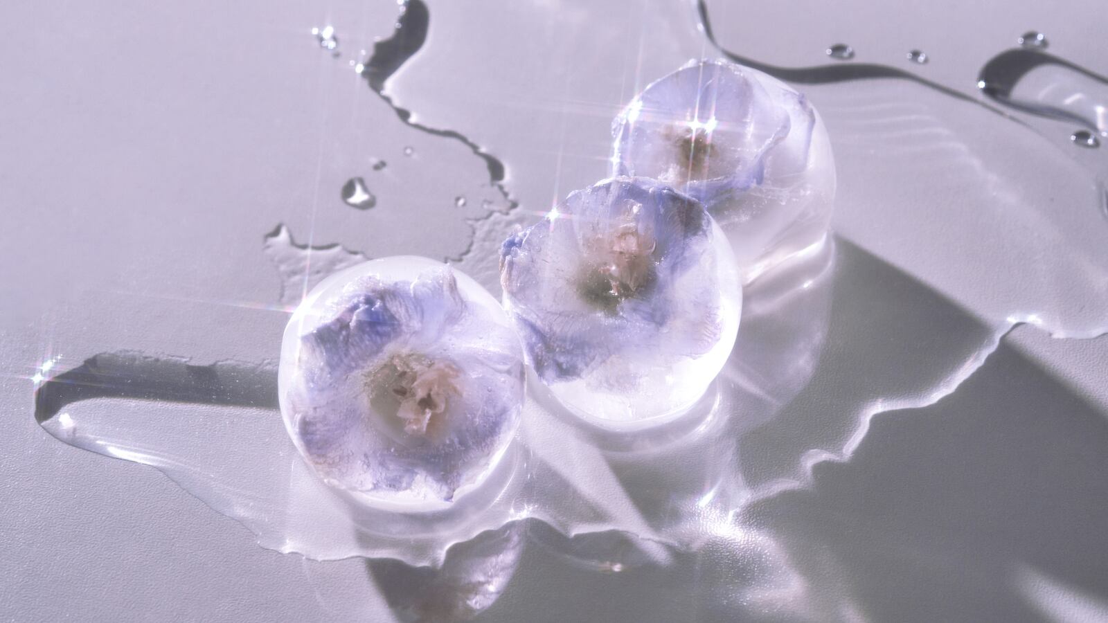 Whyntner Nugget Ice Machine Review | Scouted, The Daily Beast