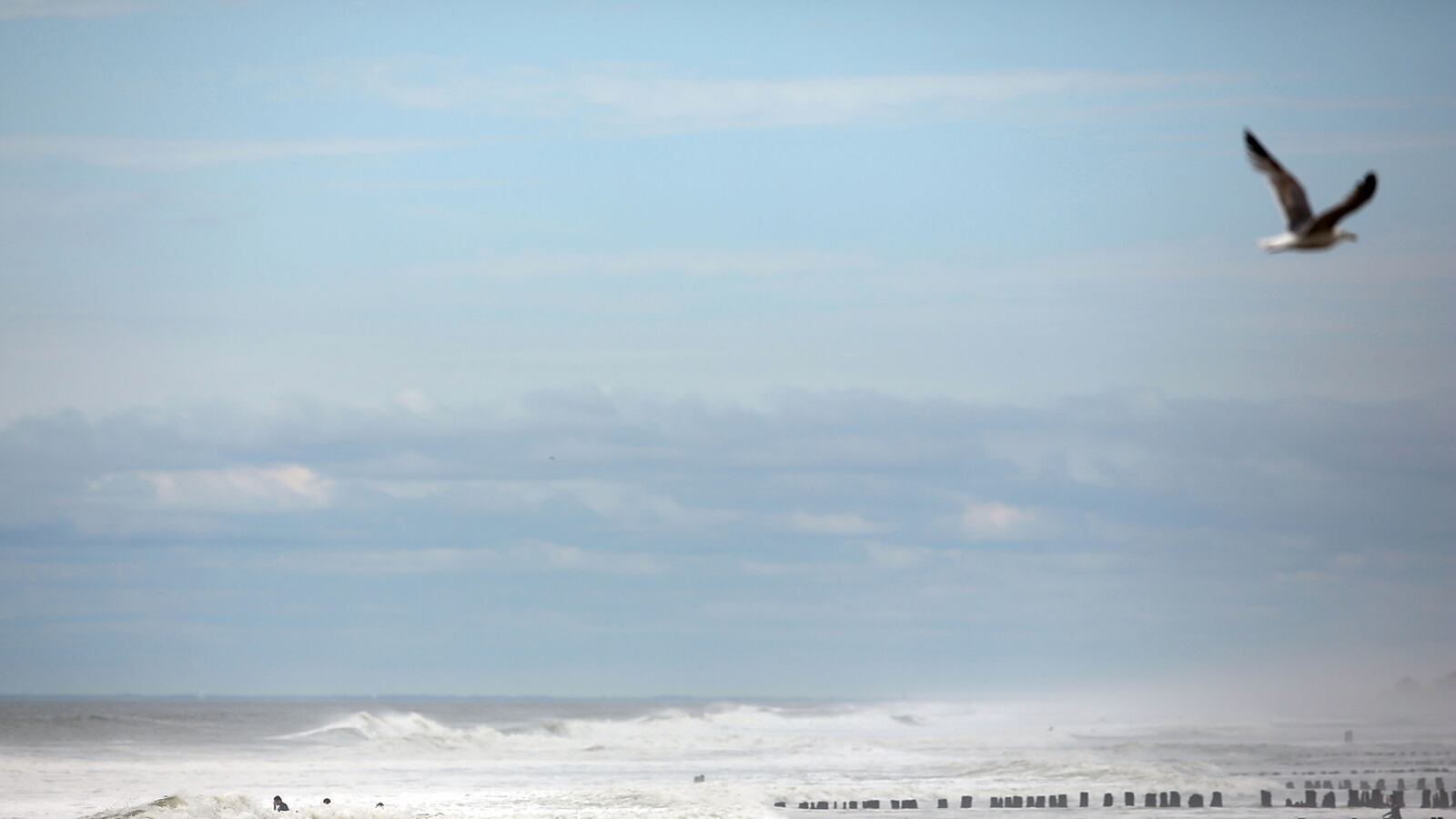 cheats/2013/06/19/new-playland-motel-is-a-hipster-paradise/130619-rockaway-motel-tease_nc3dnm