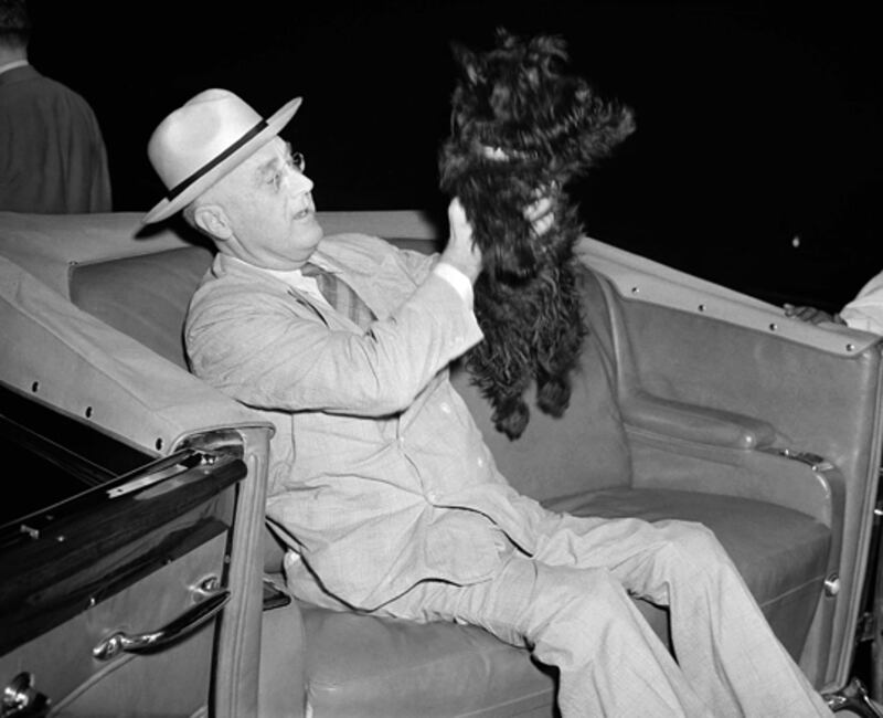 galleries/2009/04/12/presidential-pets/presidential-pets---fdr_hjvmlc