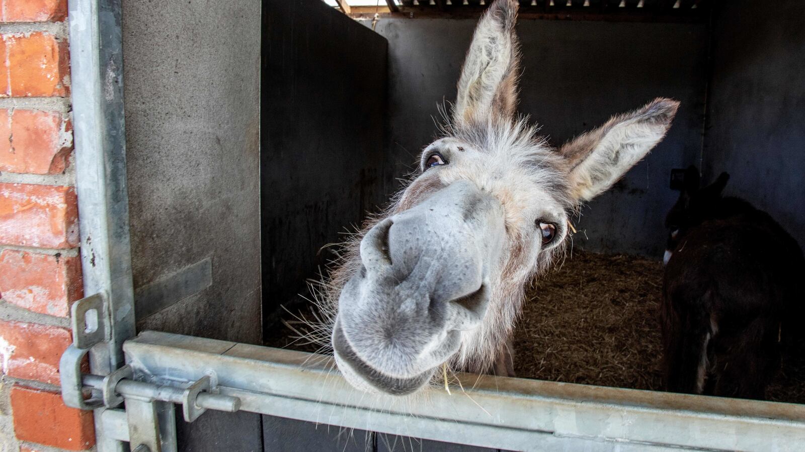 GettyImages-1217776810_kovcjv