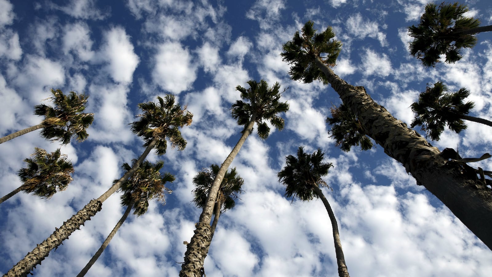 170621-false-quake-cheat_v2jwsl