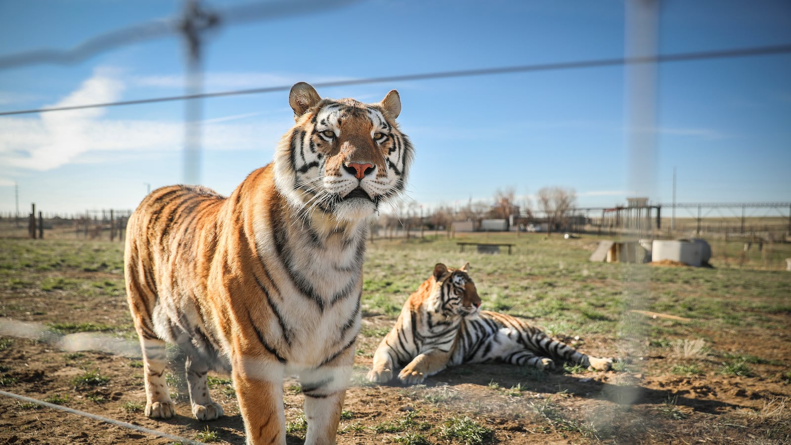 GettyImages-1209190053_agkwc8