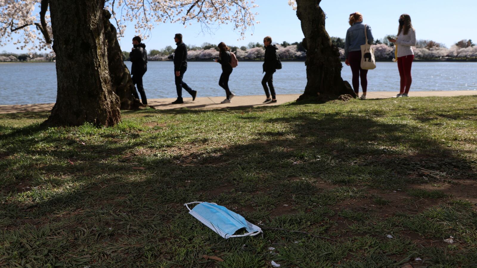 2021-03-29T232423Z_1839833921_RC2BLM9M8TNB_RTRMADP_3_SPRING-CHERRYBLOSSOMS-WASHINGTONDC_gztnm1