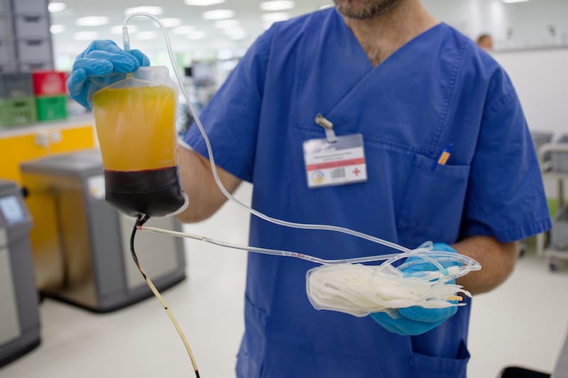 PRODUCTION - 11 June 2025, North Rhine-Westphalia, Hagen: An employee in the laboratory of the German Red Cross Blood Donor Service holds a bag from a blood donation in which the red blood cells (erythrocytes) and the blood plasma have been separated by centrifugation. Photo: Henning Kaiser/dpa (Photo by Henning Kaiser/picture alliance via Getty Images)
