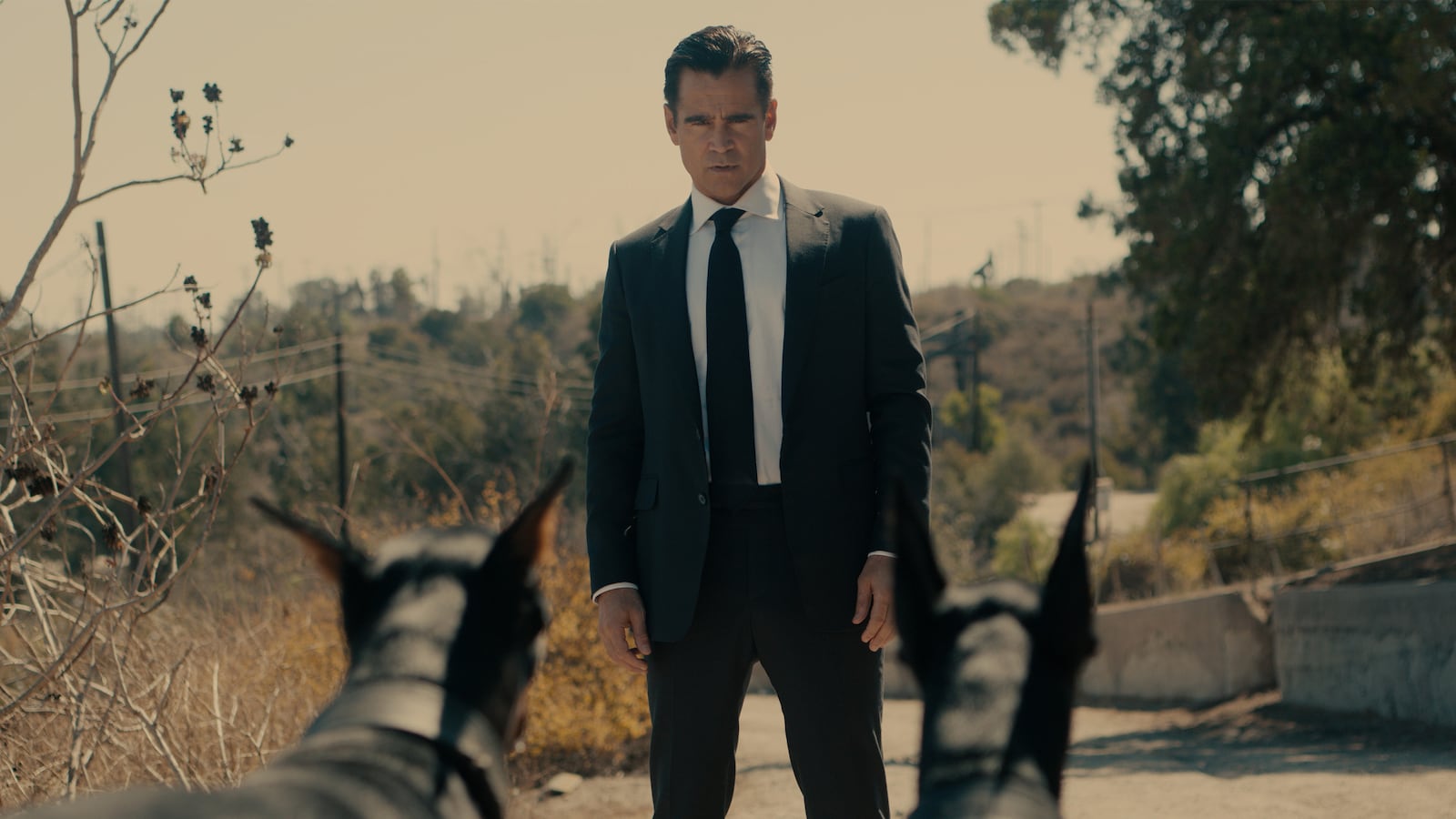 Colin Farrell in Sugar.