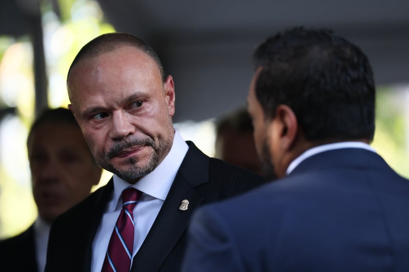Bongino