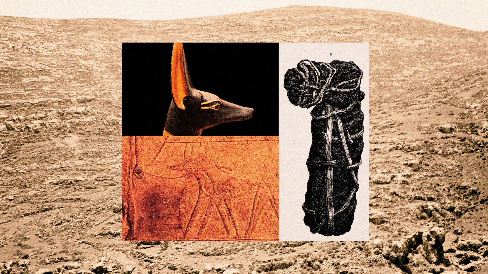 230128-moss-ancient-egypty-dog-grave-hero_lx4net