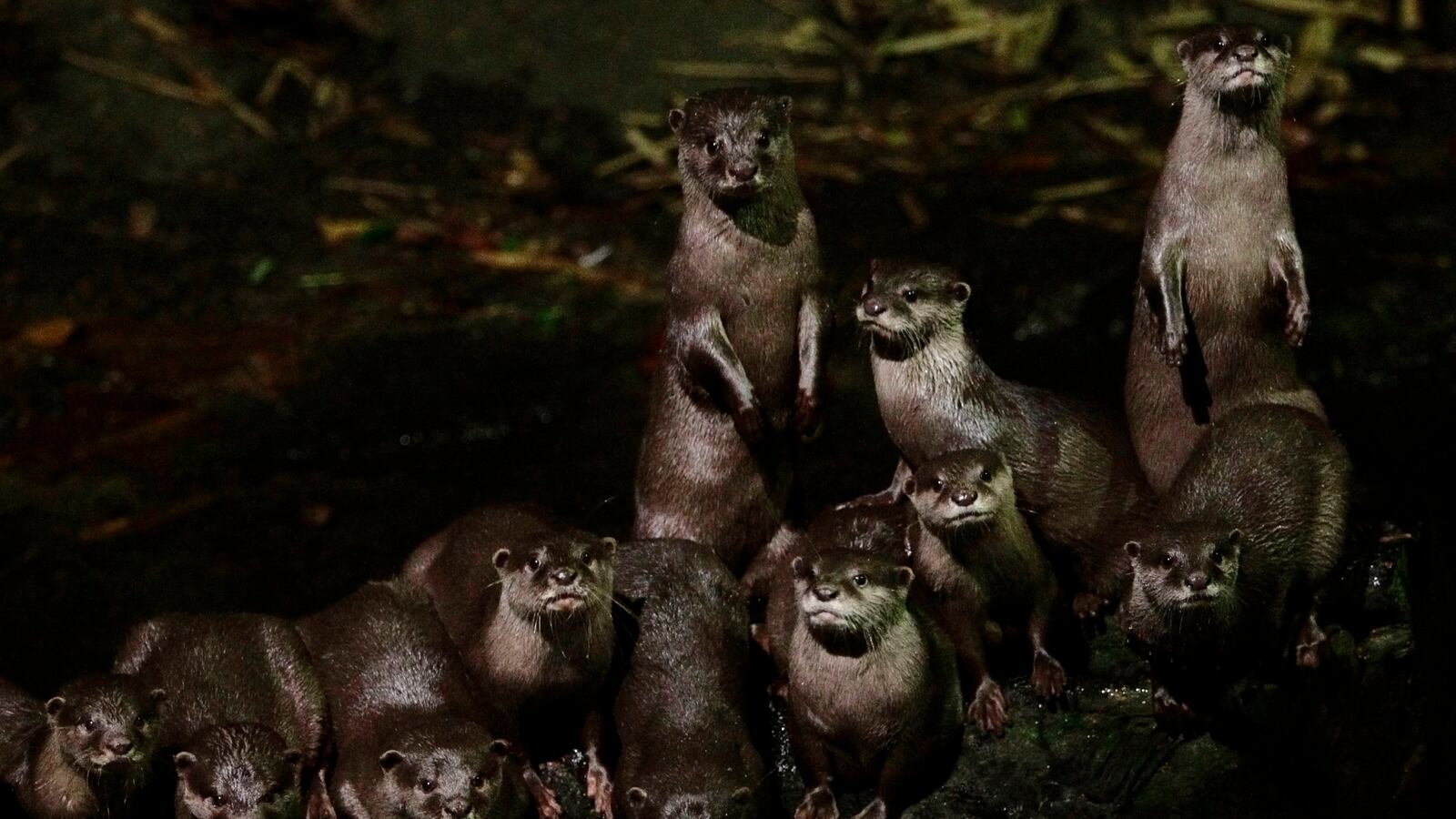 2012-03-07T000000Z_1497117219_GM1E83800UQ01_RTRMADP_3_SINGAPORE_fzluuh