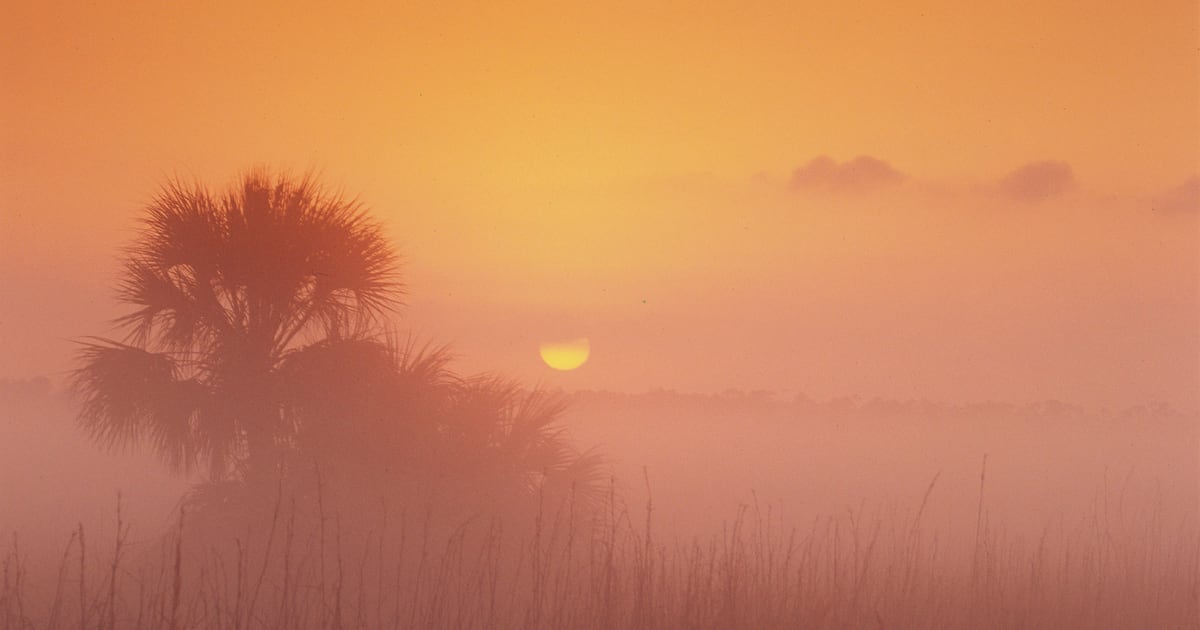 Dust Cloud the Size of Continental U.S. Headed for Florida