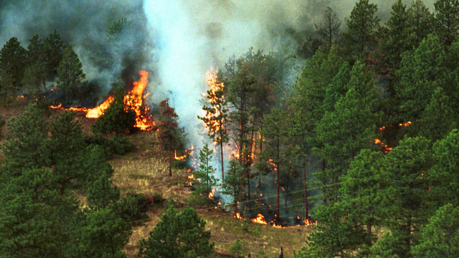 GettyImages-793608_ixhqez