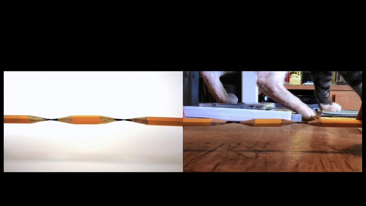 articles/2013/11/27/bruce-nauman-at-sperone-westwater-is-the-daily-pic-by-blake-gopnik/feline-daily-pic_tg3lru