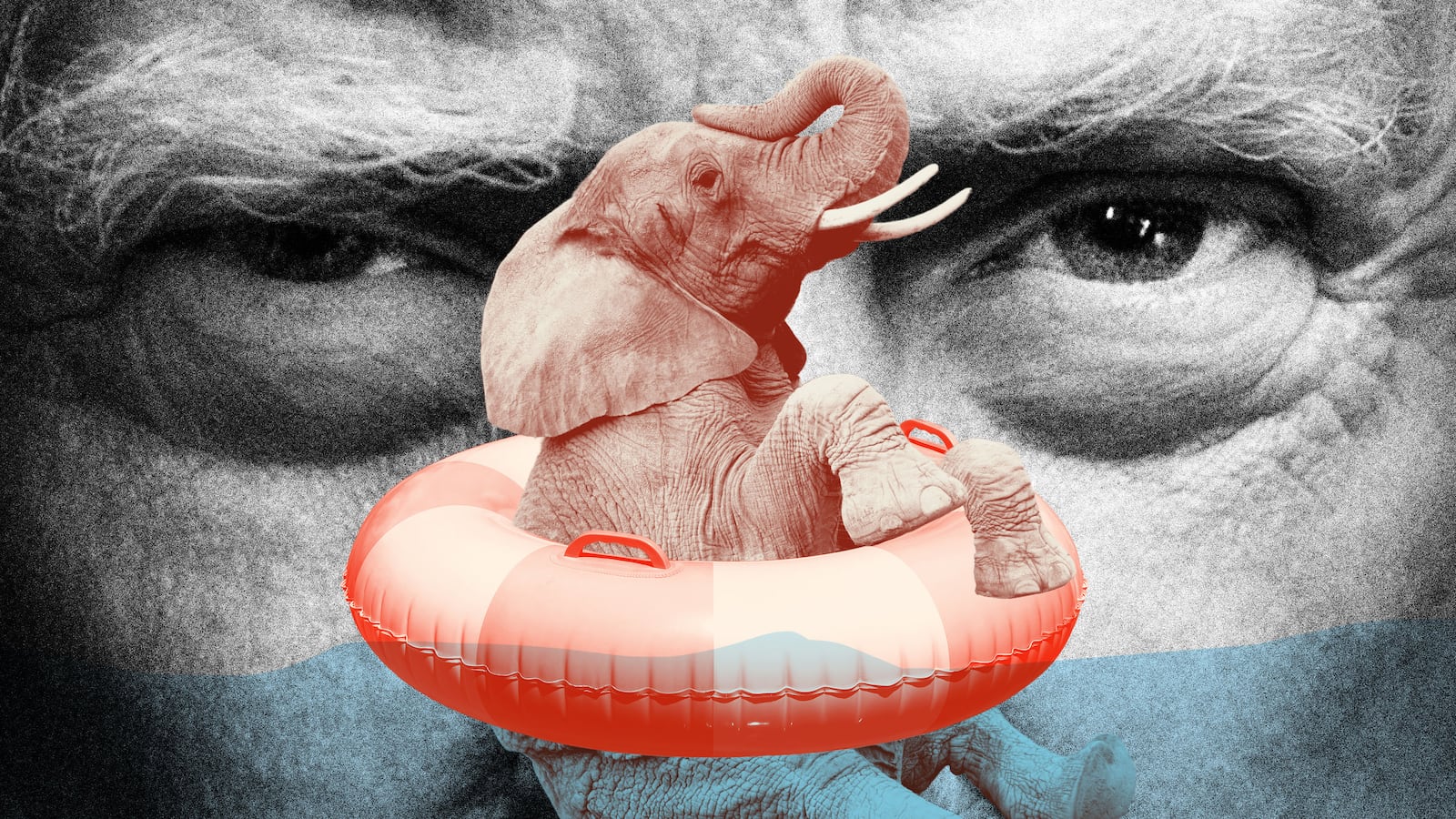 Donald Trump, Elephant