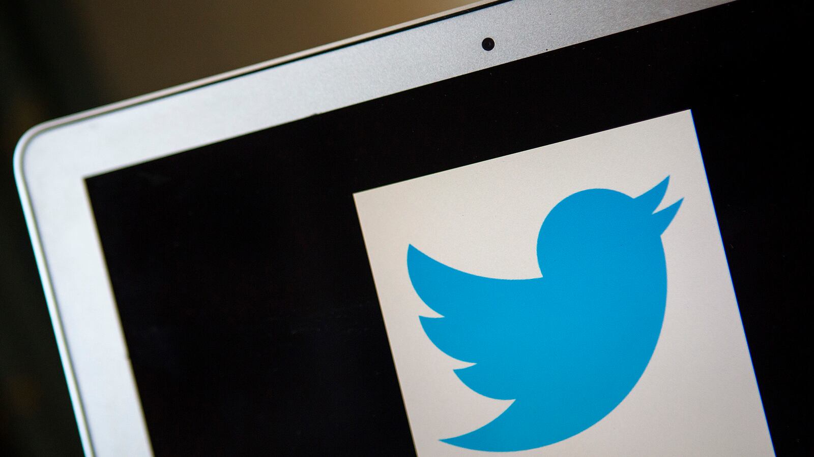 cheats/2014/08/12/bots-comprise-up-to-23m-of-twitter-users/140812-twitter-bots-cheat_fn3tgp