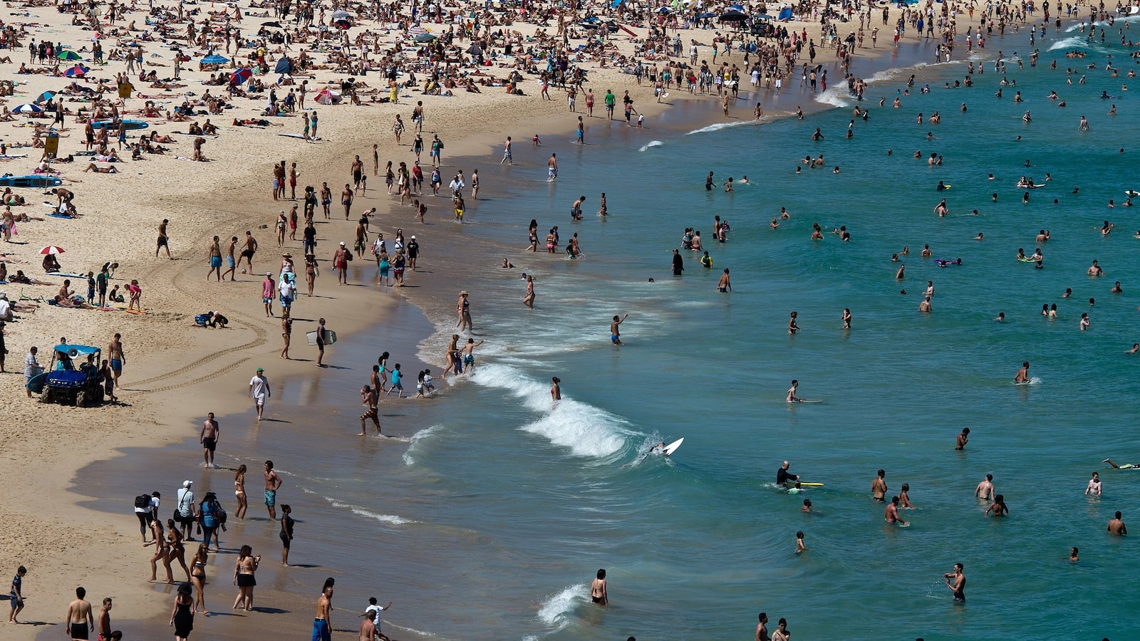 cheats/2014/02/06/beachgoers-find-giant-jellyfish/140206-australia-jellyfish-cheat_jgcaop