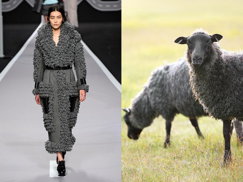 galleries/2014/03/06/fendi-lanvin-and-more-fashion-week-pieces-that-looked-like-animals/gal-2014-fashion-wild-6_g0nh5x