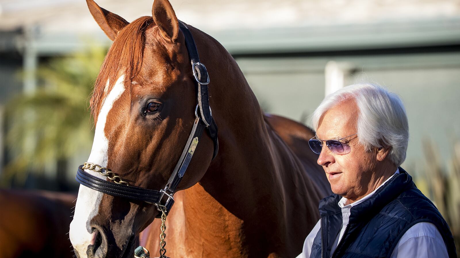 180608-Green-two-and-a-half-belmont-hero_ahgva0