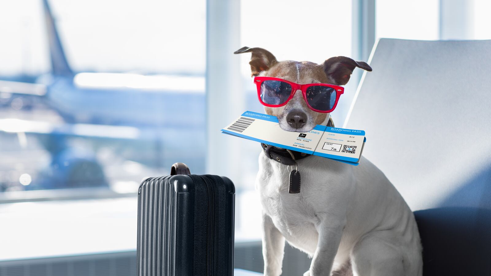 BrandedCheat2_Header_g4xvdv