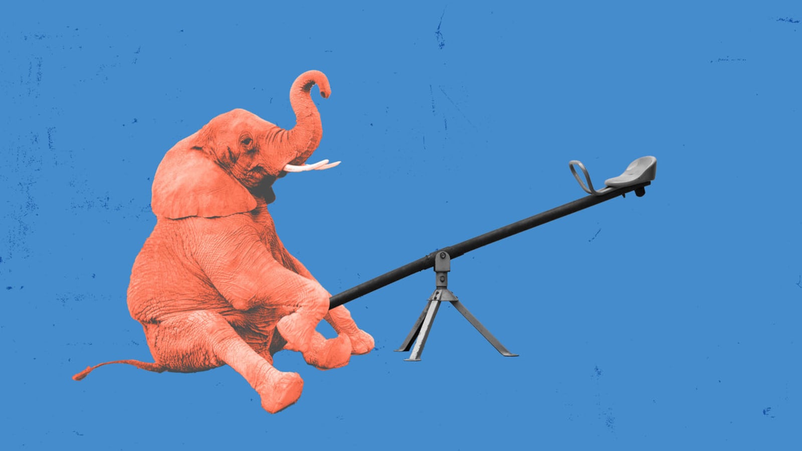 17-Waj-Ali-rncmantra-hero_cdtqrw