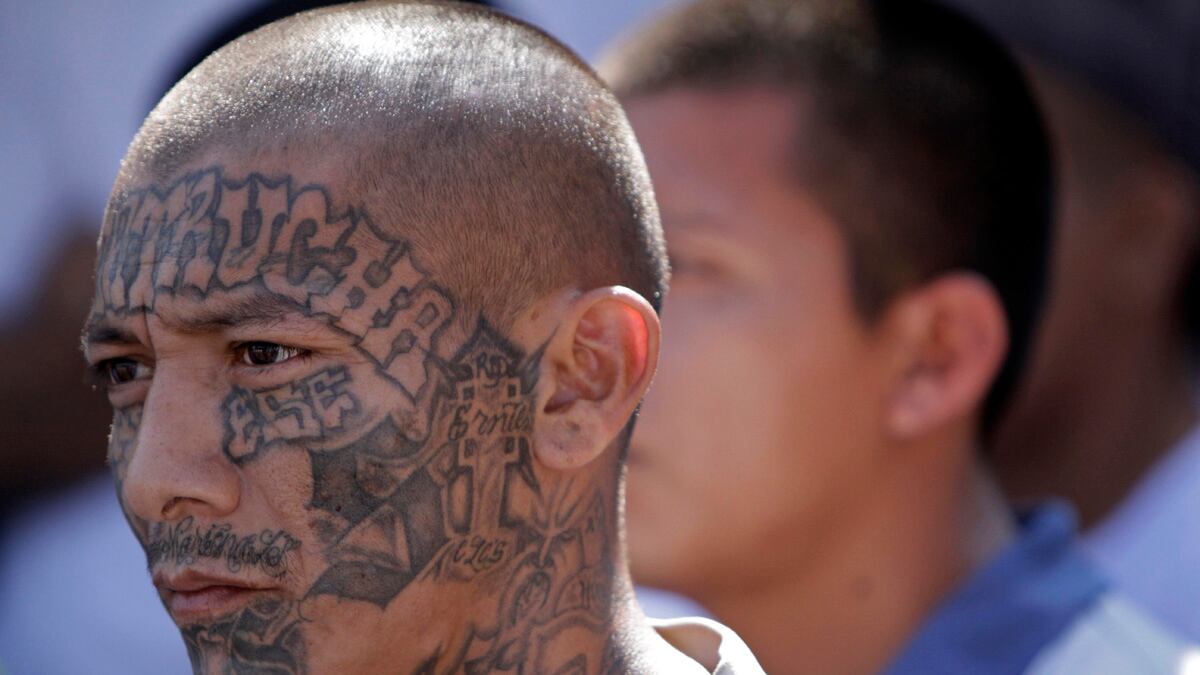 cheats/2012/04/16/el-salvador-has-murder-free-day/el-salvador-no-murder-day-cheat_drlogy