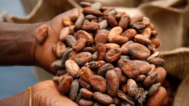 cheats/2011/04/08/ouattara-wants-sanctions-lifted/ivory-coast-cocoa_hjxm09