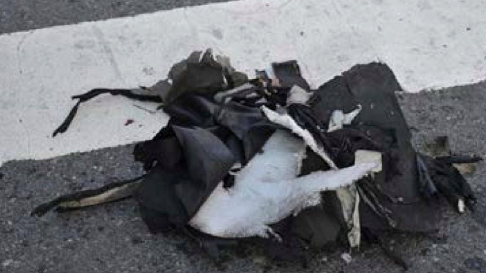 cheats/2013/04/17/bomb-pictured-in-fbi-bulletin/130417-fbi-bulletin-bomb-cheat_wh0uue