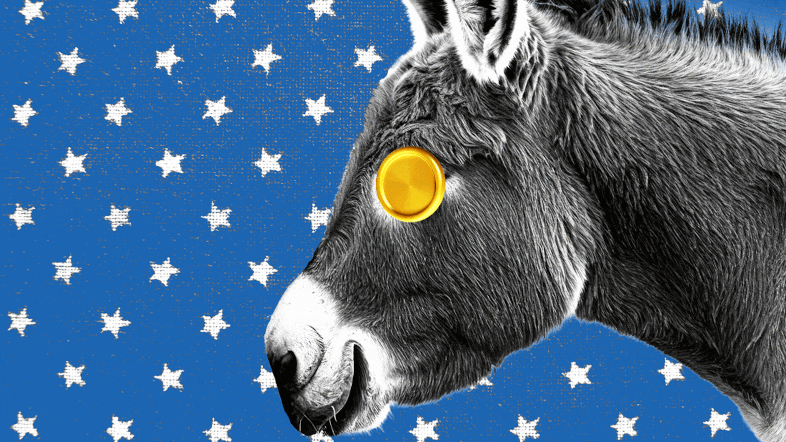 Smiling donkey with a gold coin spinning on a blue and white star background