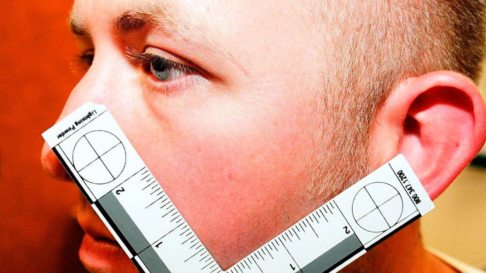 cheats/2014/11/25/witnesses-mike-brown-charged-wilson/141125-ferguson-wilson-cheat_a2x4v2