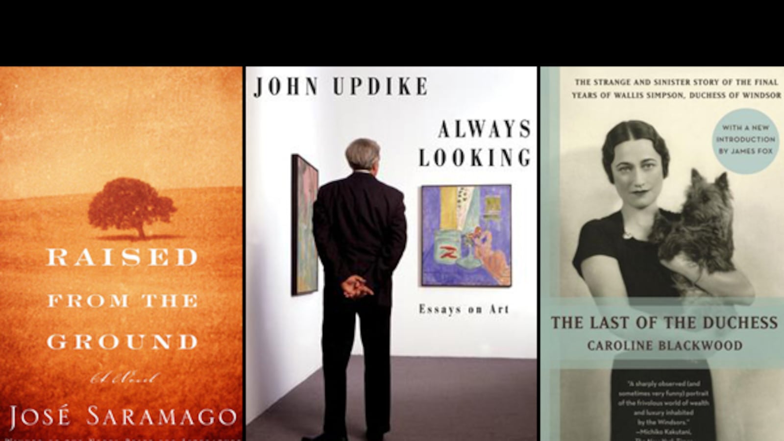 articles/2012/12/03/this-week-s-hot-reads-dec-2-2012/hot-reads-tdb-121203-tease_invdxf