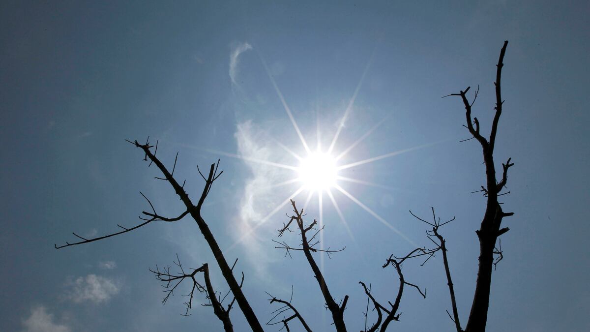 articles/2012/07/03/bill-mckibben-on-the-global-warming-hoax/global-warming-mckinnon_fqug7k