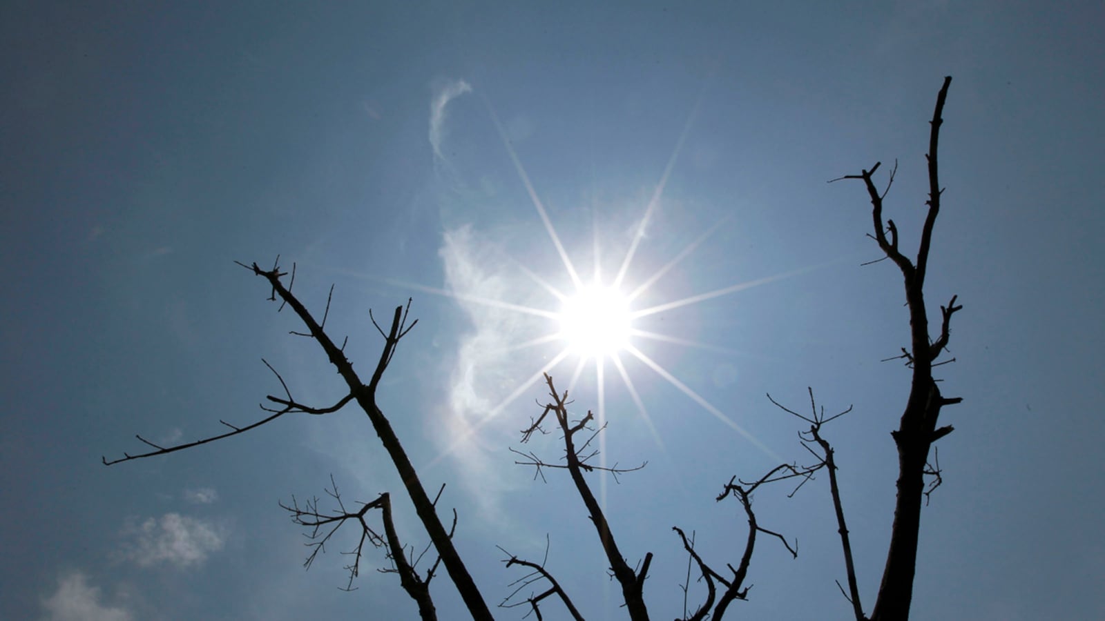 articles/2012/07/03/bill-mckibben-on-the-global-warming-hoax/global-warming-mckinnon_fqug7k