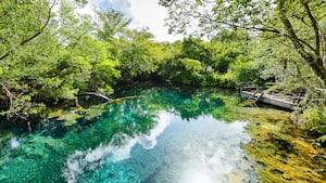 200124-Ozols-Grupo-Puntacana-tourism-voluntourism-program-tease_wugrzq