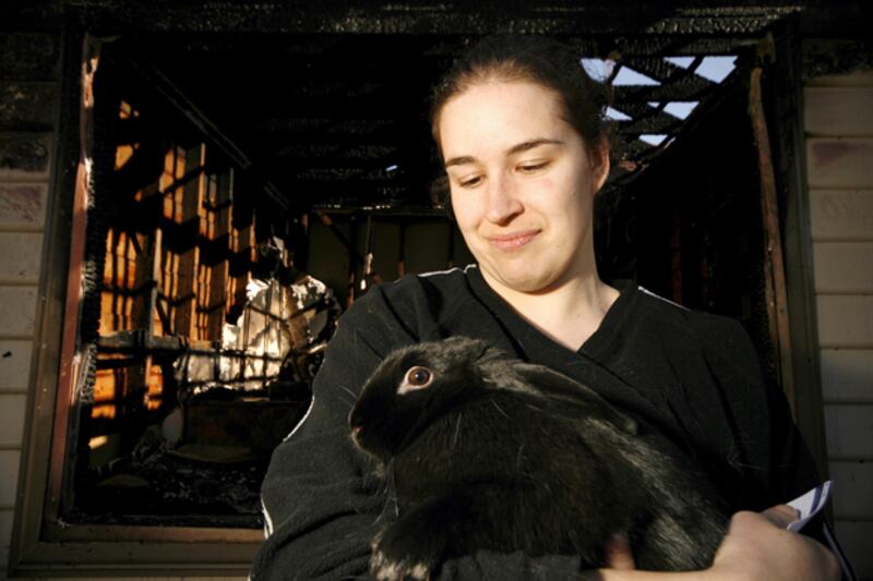 galleries/2010/12/13/heroic-animals/heroic-animals---rabbit_wawkt5