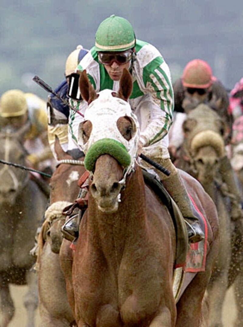galleries/2011/05/05/top-racehorses/top-racehorses---point-given_daeita