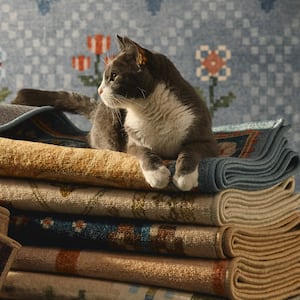 Ruggable x Anthropologie