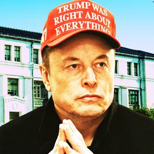 Elon Musk, Department of the Interior building photo illustration
