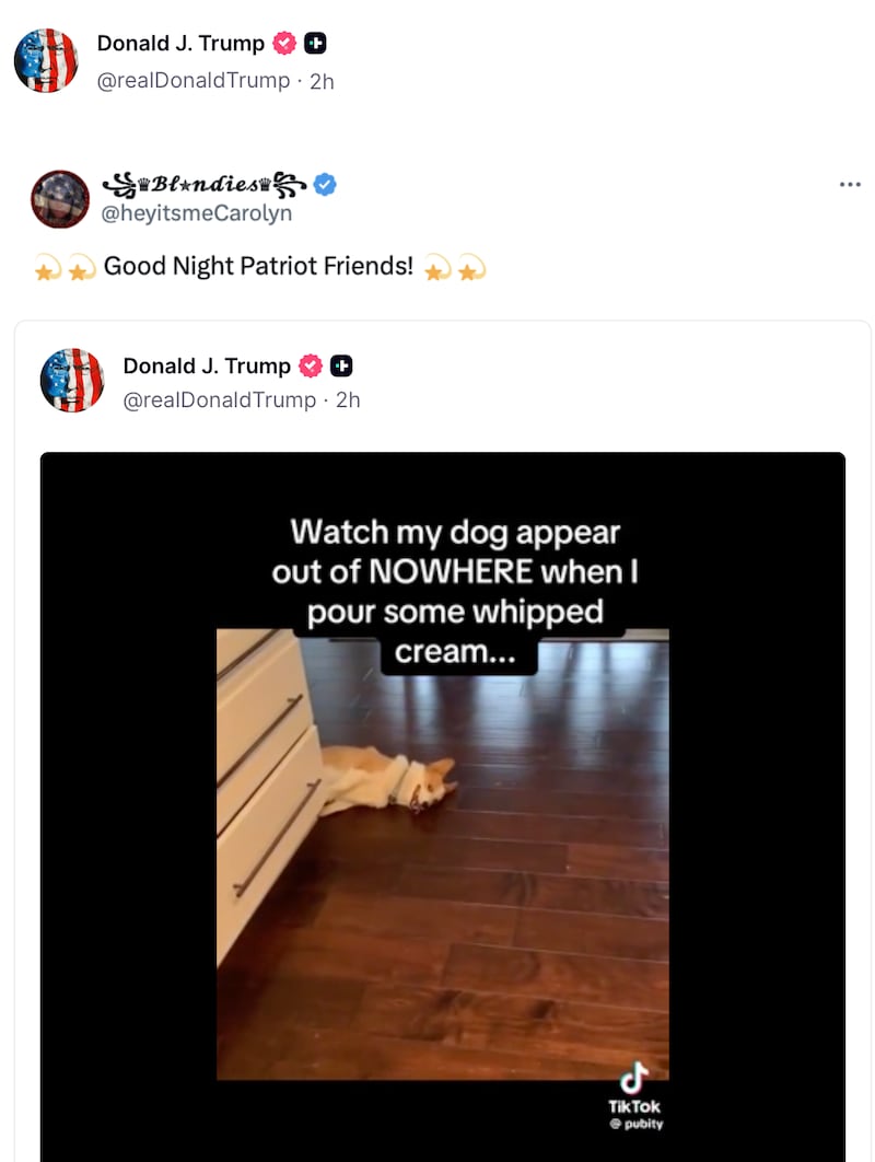 Donald Trump posts a dog video on Truth Social.