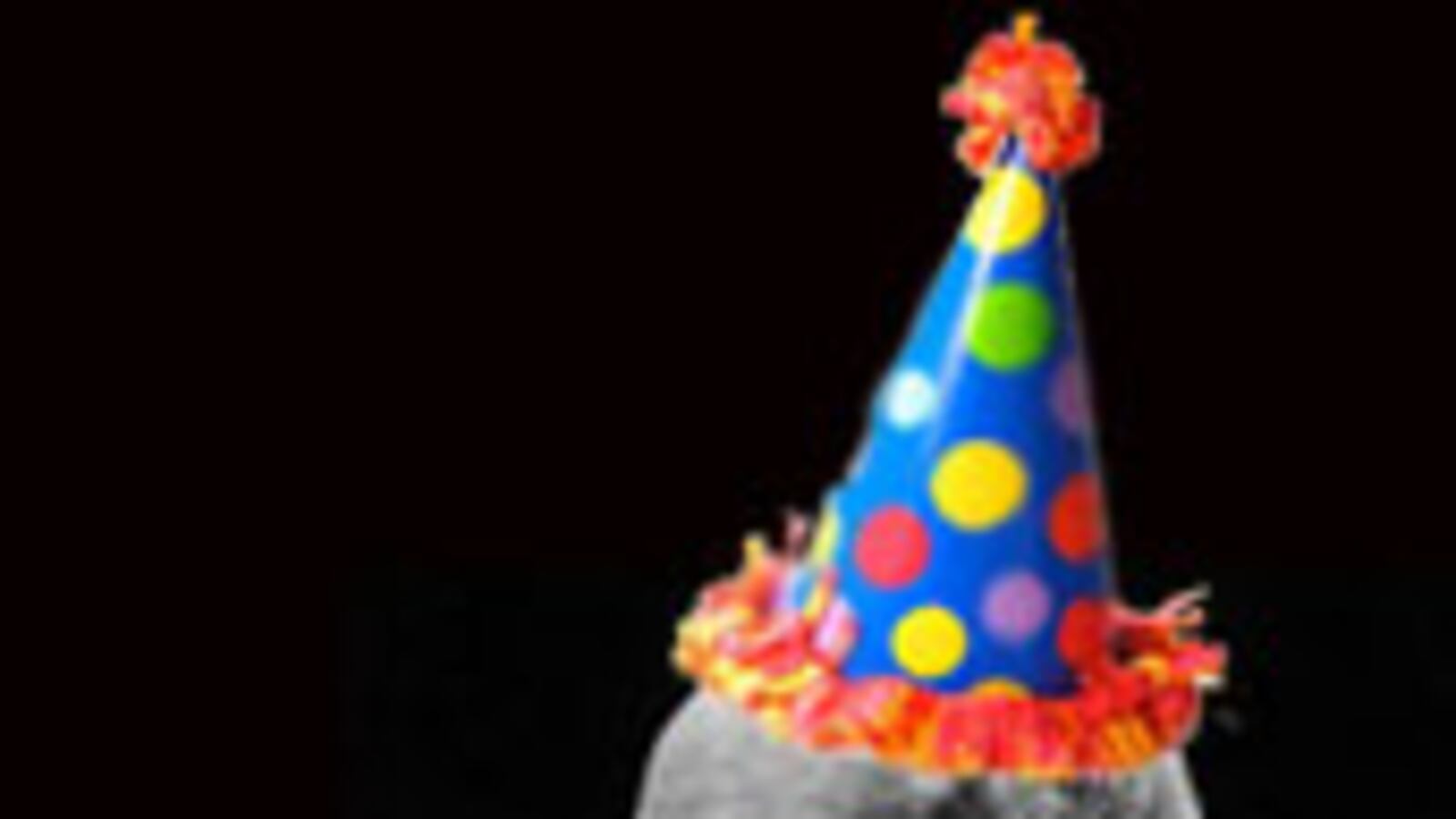 cheats/2009/02/12/happy-birthday-darwin/darwin_rprjvm