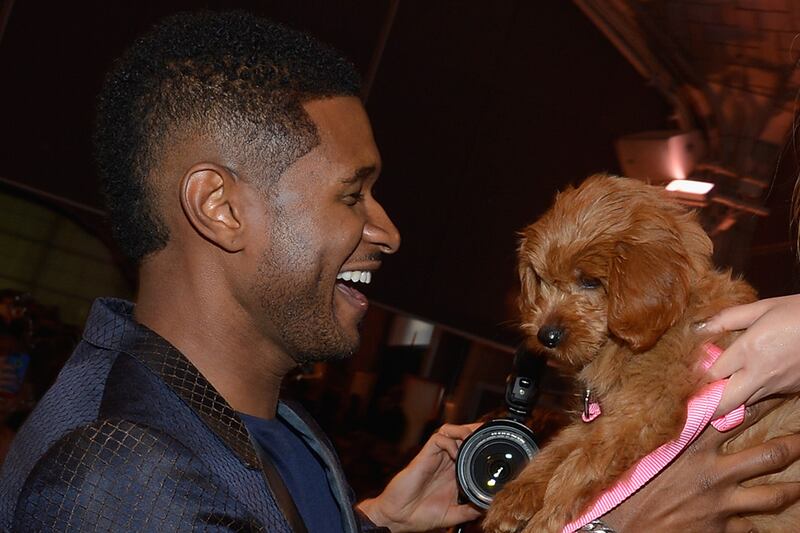 galleries/2012/11/03/blake-lively-usher-more-celebrities-crazy-about-their-dogs-photos/usher-celeb-dogs_qnntc0