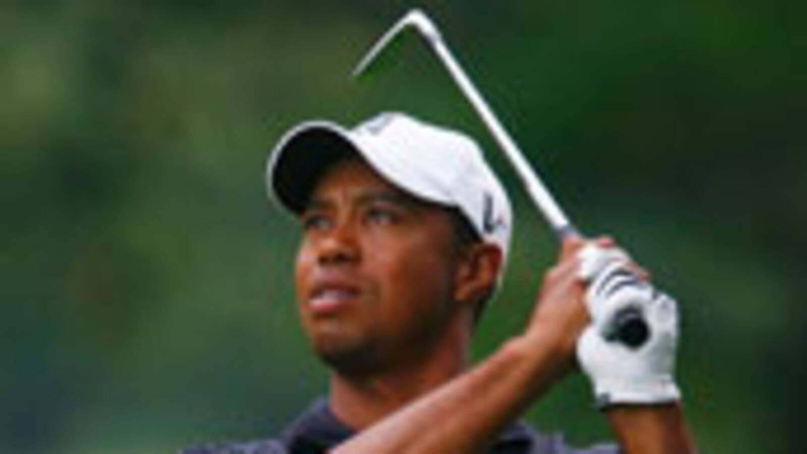 articles/2009/12/06/tiger-and-pills/posner-tiger-and-pills_67643_trhpa4