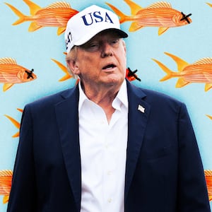 A photo illustration of Donald Trump and goldfish.