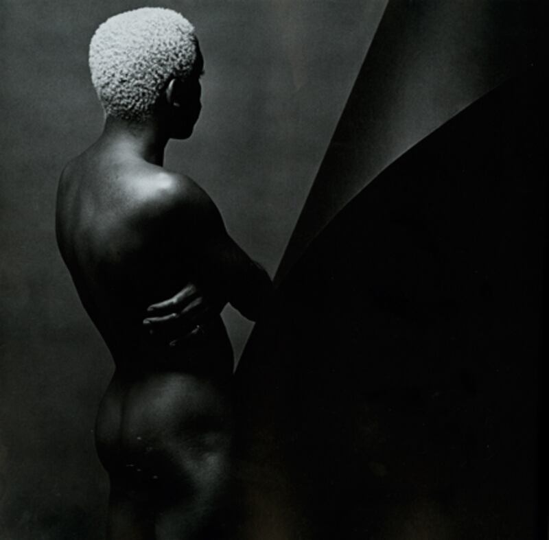 galleries/2009/08/13/bea-arthur-nude-and-other-freudian-fantasies/figure-freud---mapplethorpe_xglm2x