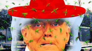 A photo illo illustration Donald Trump, UFC fight, and mosquito swarm.