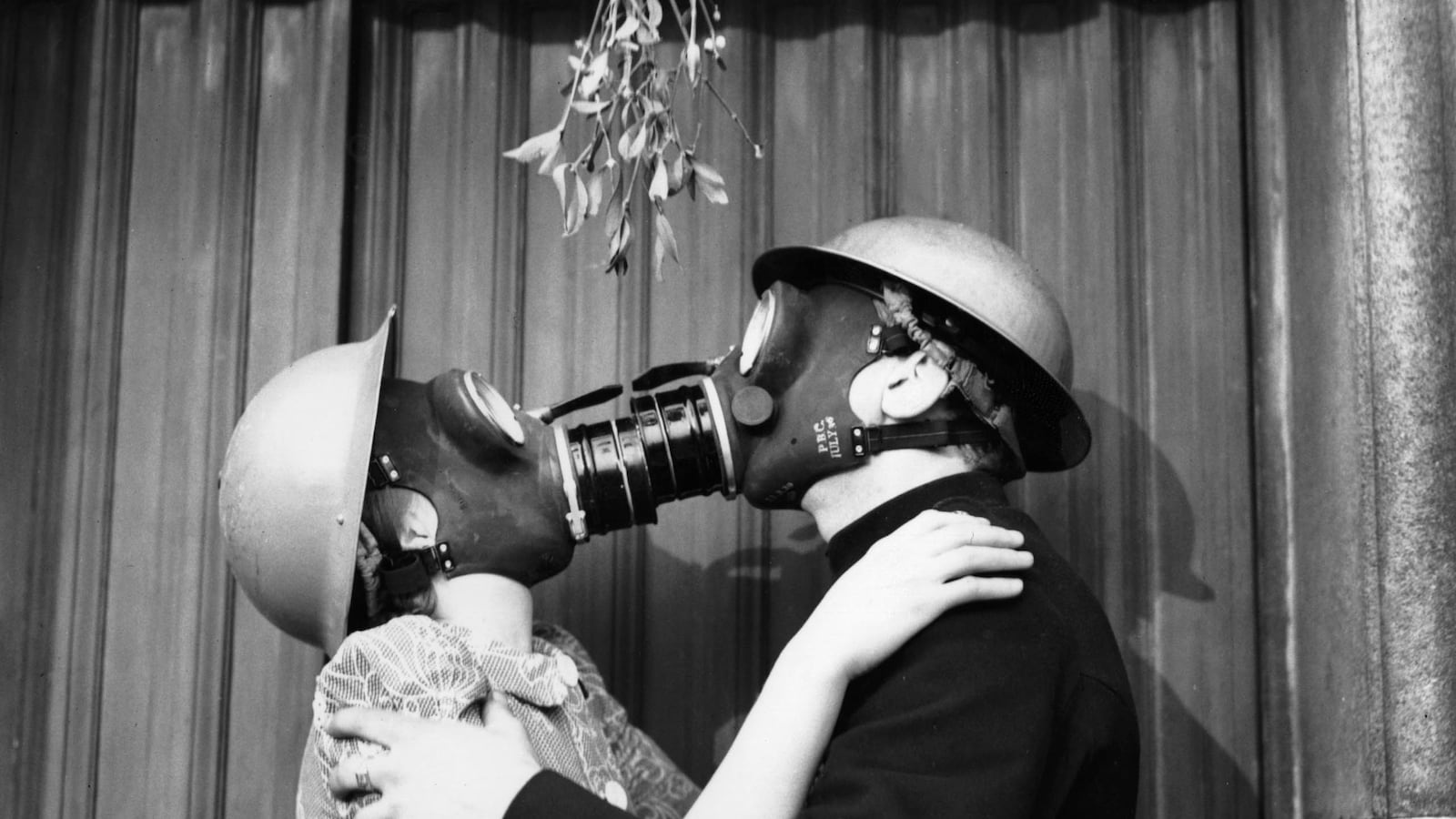 articles/2014/12/21/mistletoe-is-the-vampire-of-plants/141219-thompson-mistletoe-tease_zbpbyk