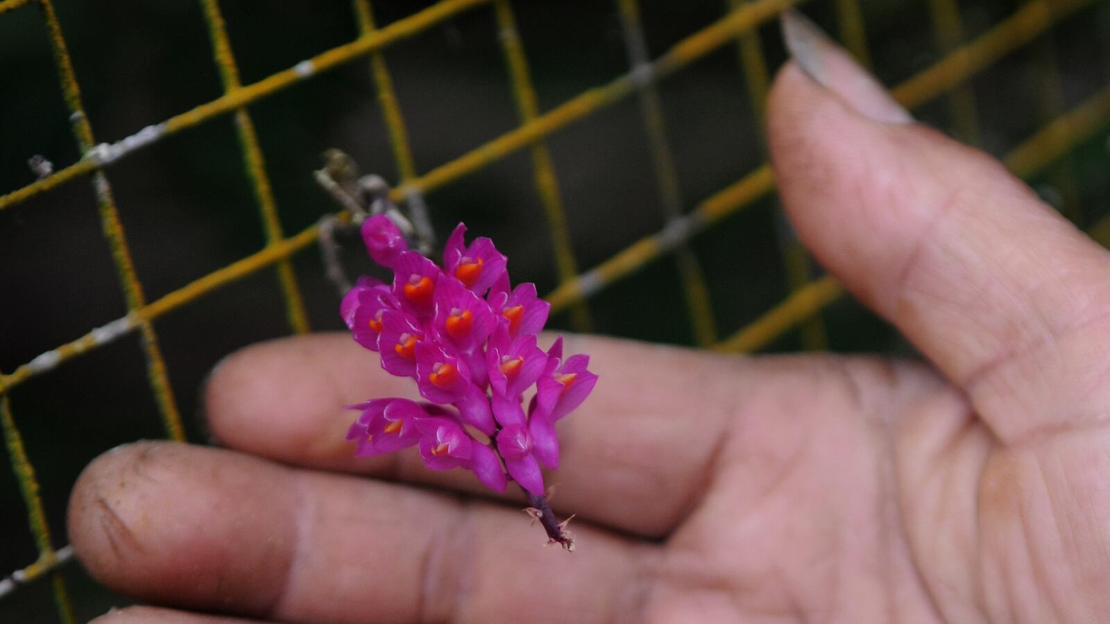 GettyImages-1240930598_idutkc