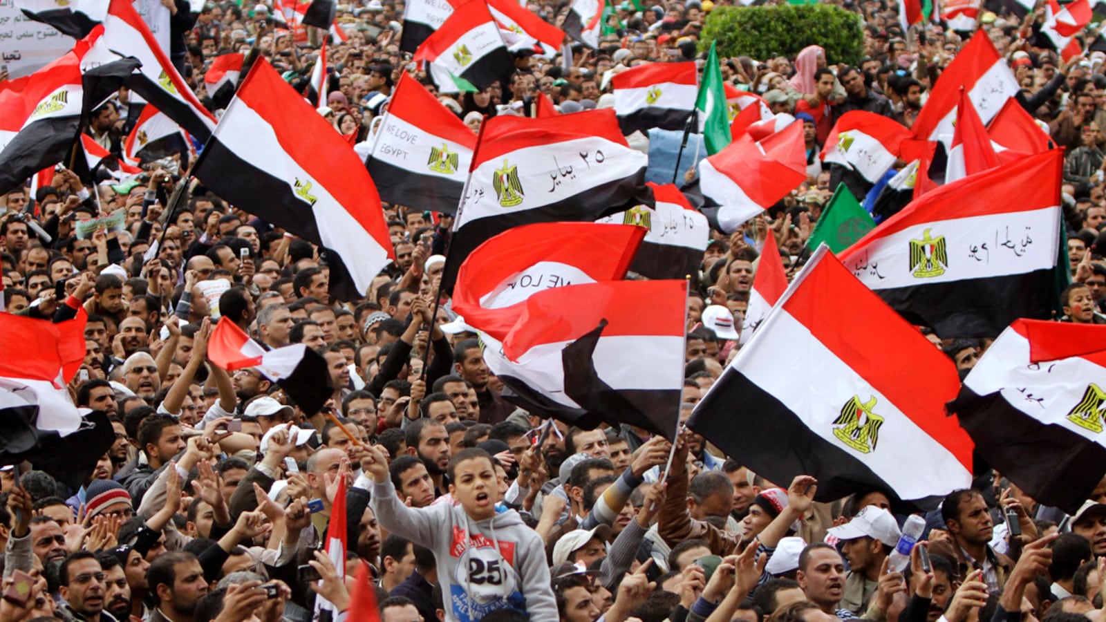 cheats/2011/11/18/tens-of-thousands-protest-in-cairo/egypt-thousands-protest-for-civilian-government-cheat_p3smst