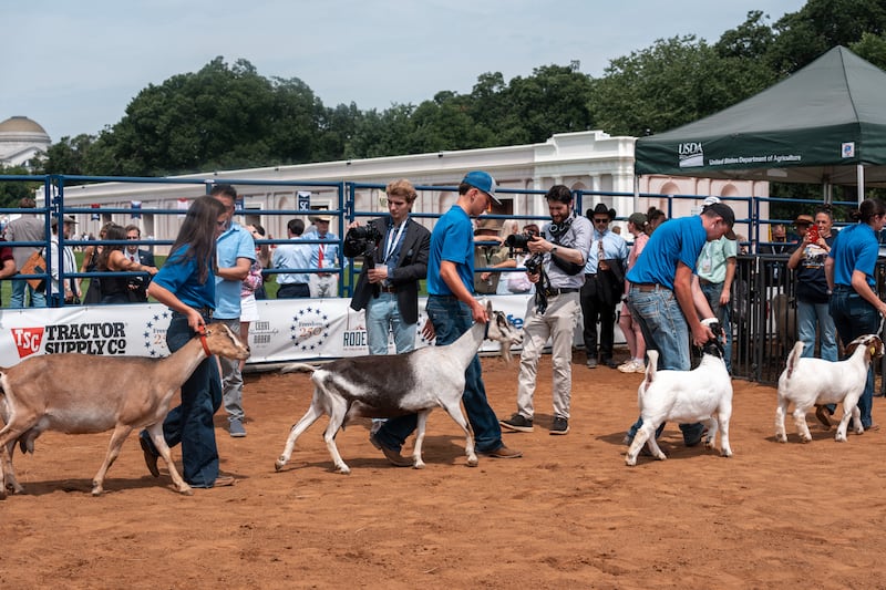 Members of the Future Farmers of America display their goats at The Great American State Fair on June 26, 2026