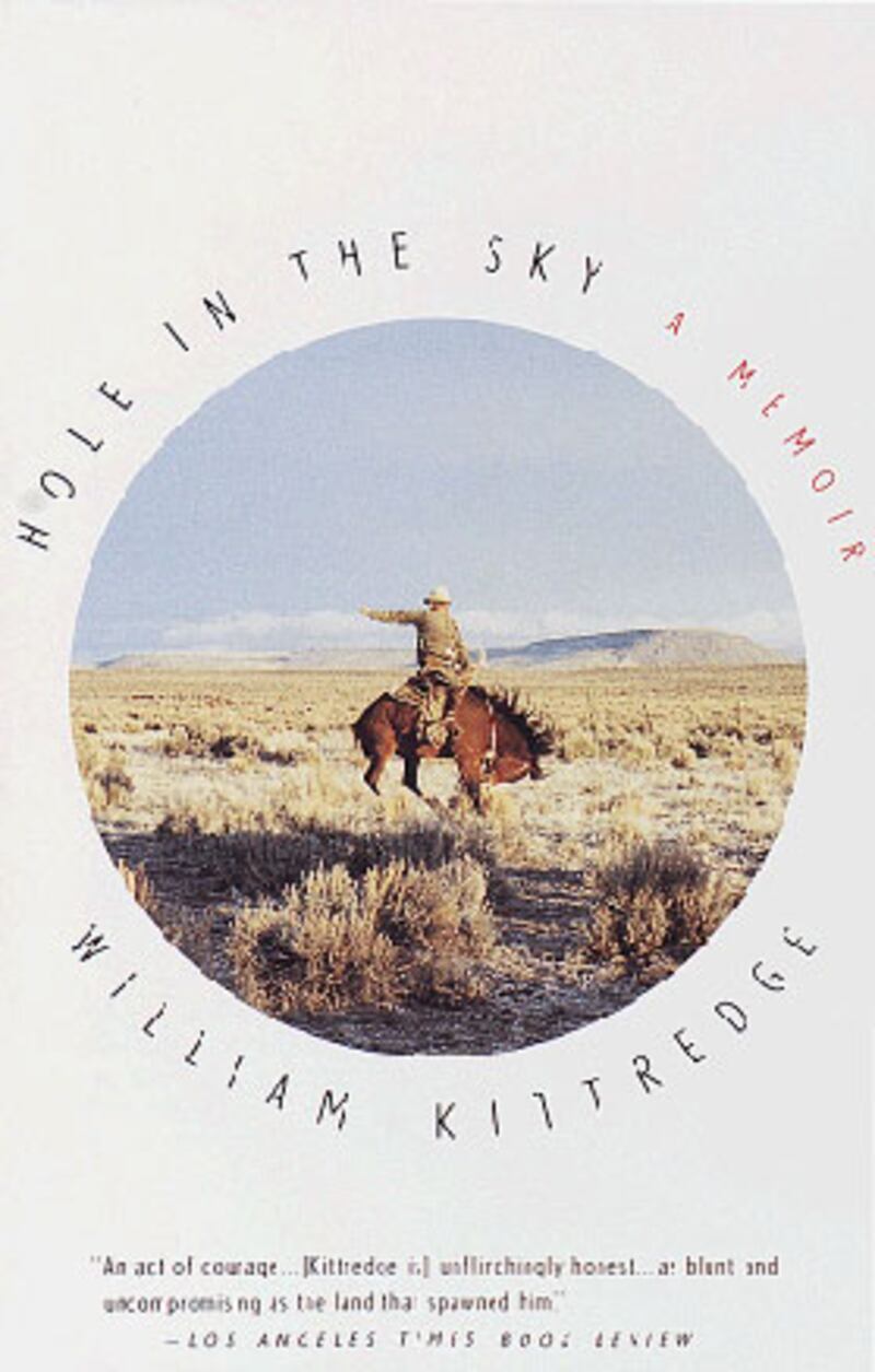 galleries/2010/06/29/bill-clegg-book-bag/bill-clegg-book-book---hole-in-the-sky_gzyj1k