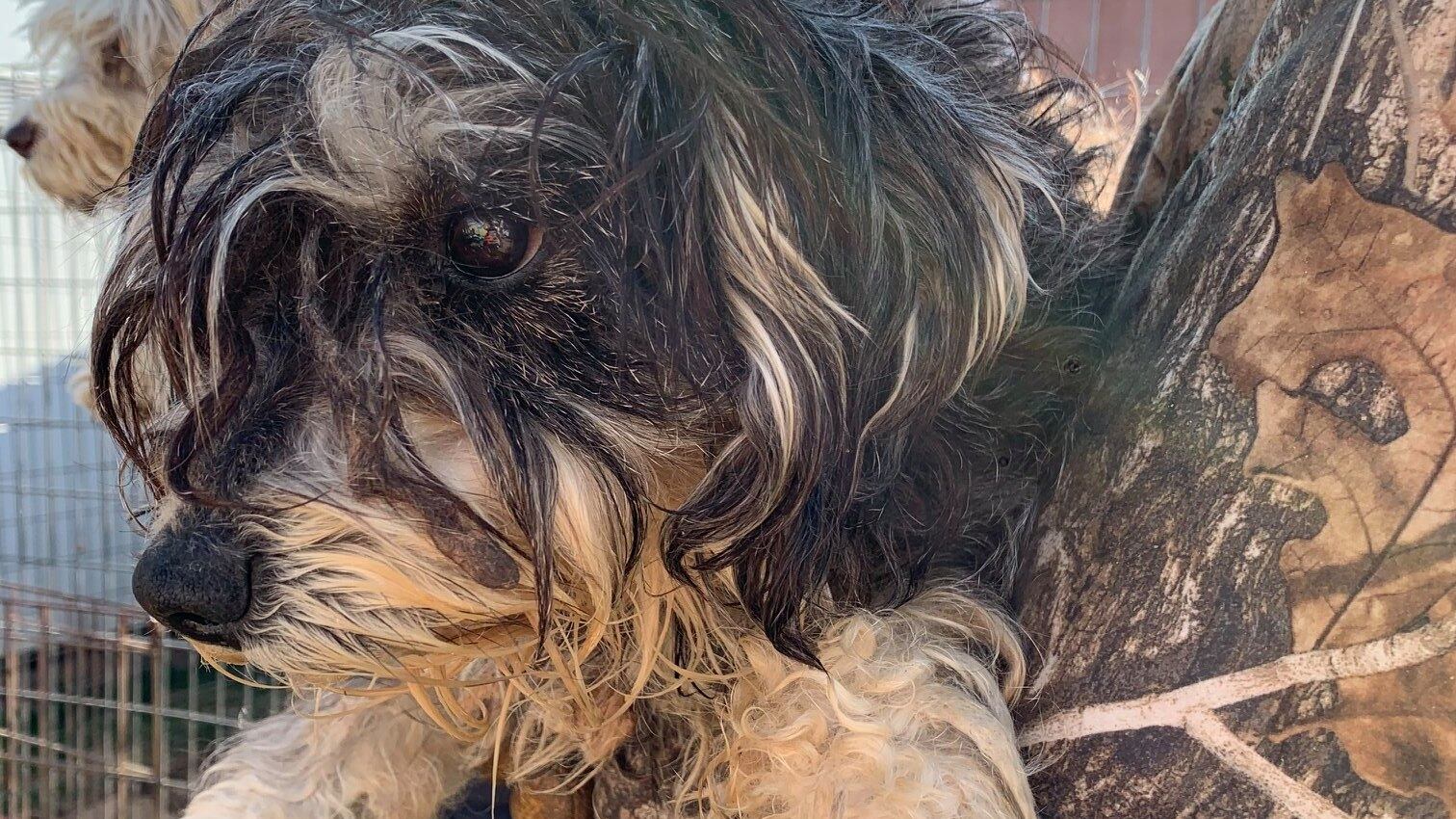 148420476_3962408420470305_5945494605279008144_o_vnxwci