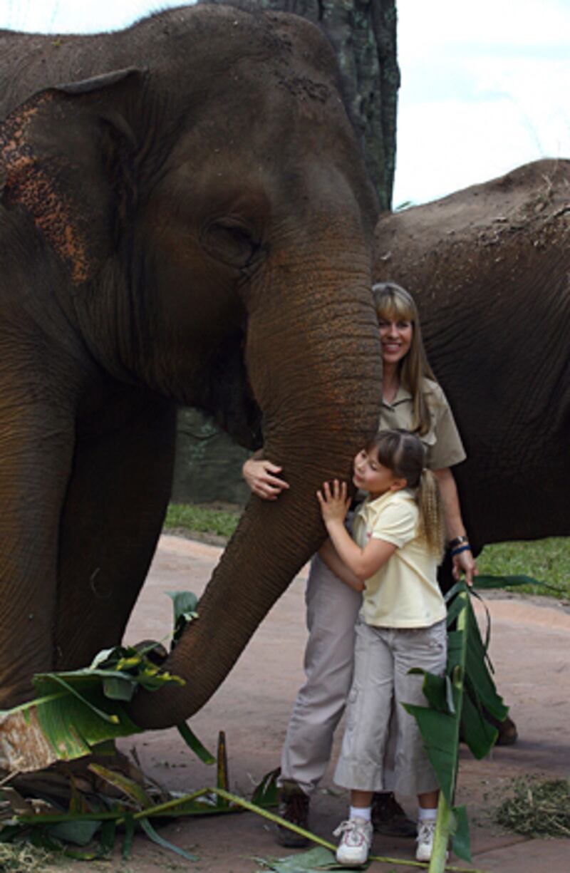 galleries/2011/04/21/women-with-elephants/women-with-elephants---bindi-irwin_lzabwb