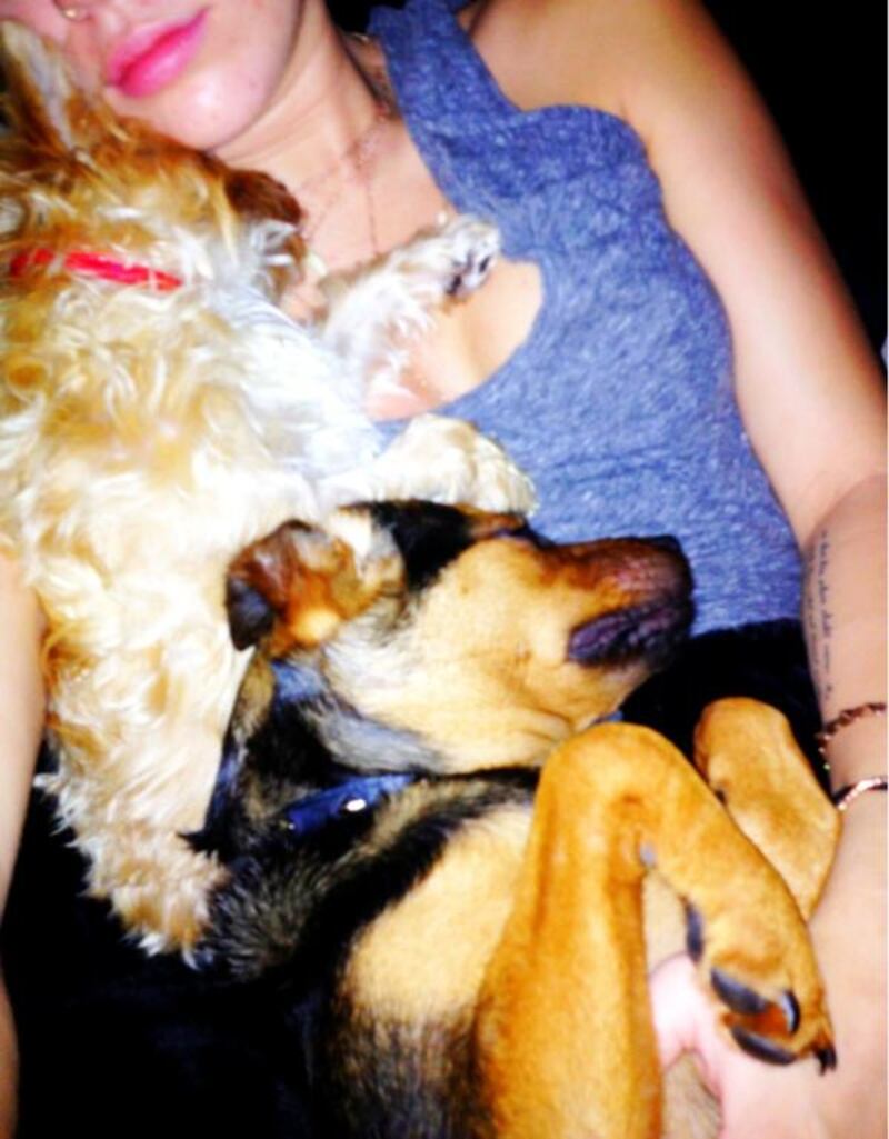 galleries/2012/09/02/ryan-seacrest-oprah-more-celebrity-twitter-pictures-photos/miley-cyrus_wympqc